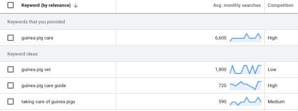 guinea pig care youtube ads vidtao