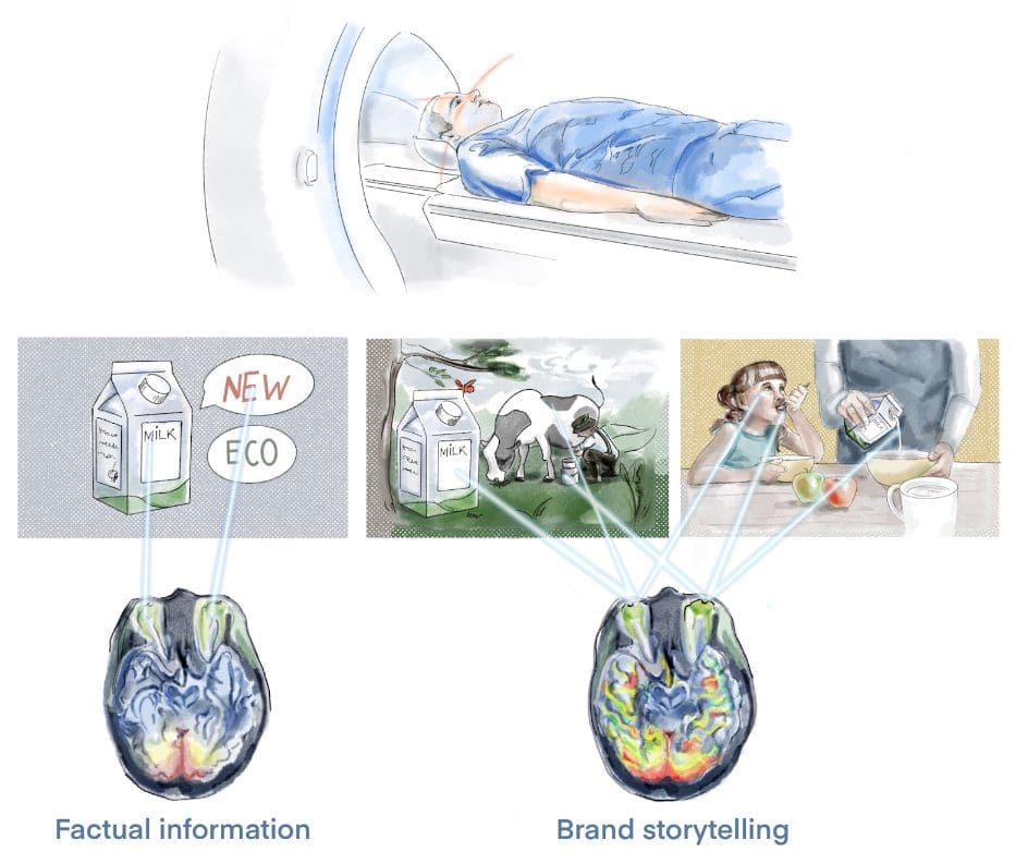 storytelling-brain-mri