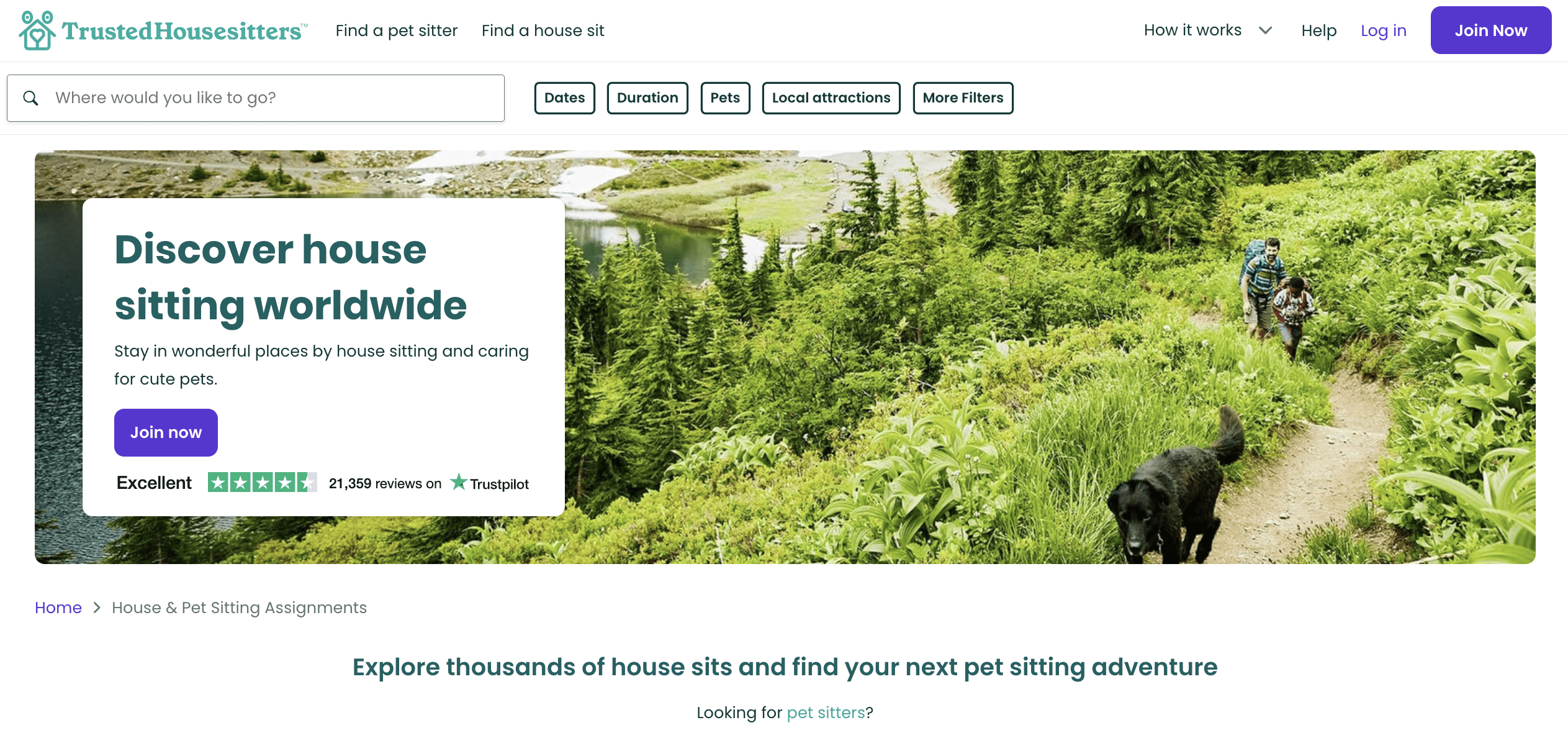 trustedHousesitters lander inside VidTao YouTube ads spy tool