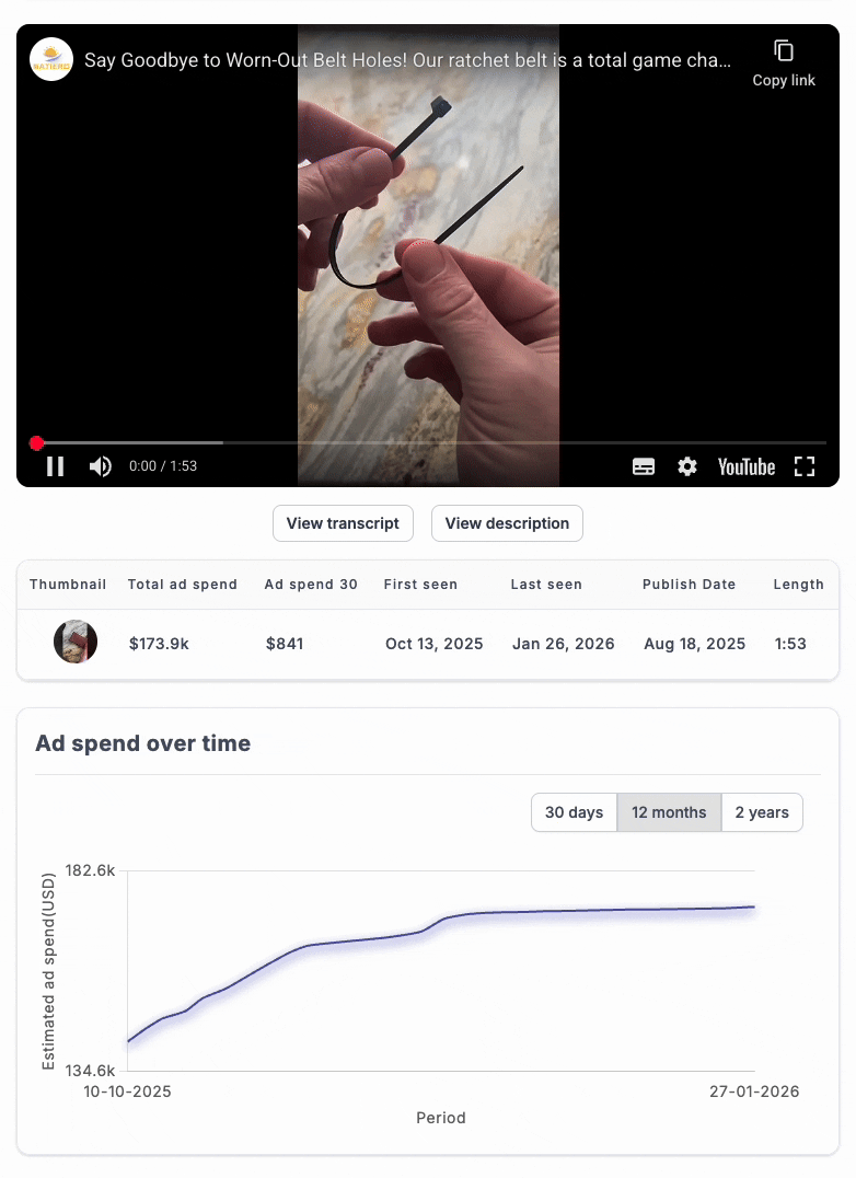 pizza-price belt ad inside VidTao ad intelligence software